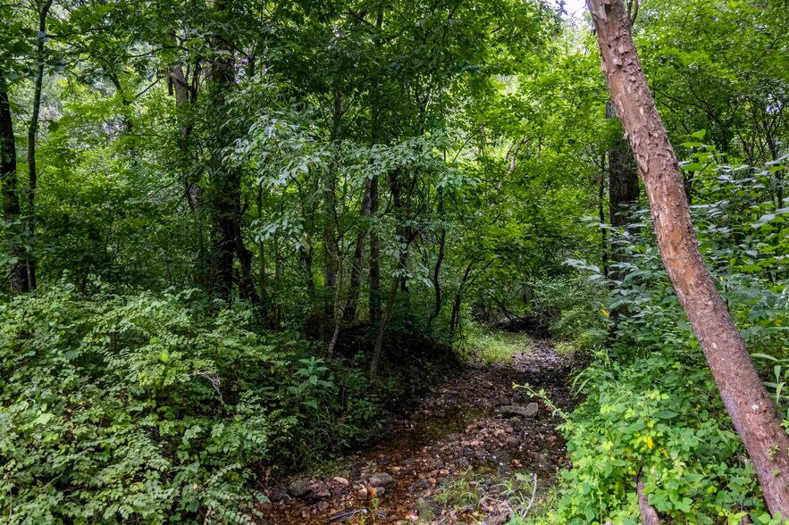 More Photos Of Talley Rd, Hartsburg Land For Sale