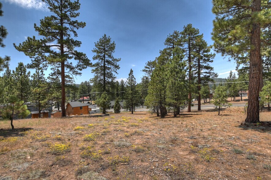 More Photos Of 0 Big Bear (No Address) blvd, Big Bear Lake Land For Sale