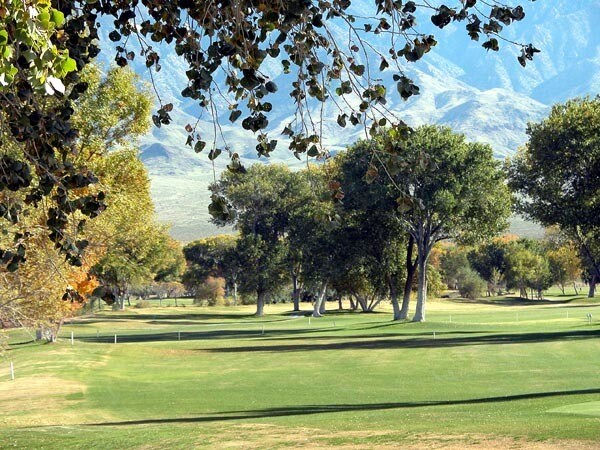 More Photos Of 590 N Virgin Acres Blvd, Littlefield Land For Sale