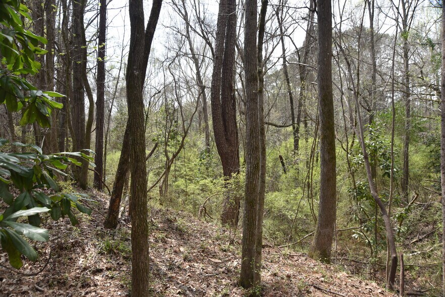 More Photos Of Warm Springs Rd @ GA-208, Waverly Hall Land For Sale