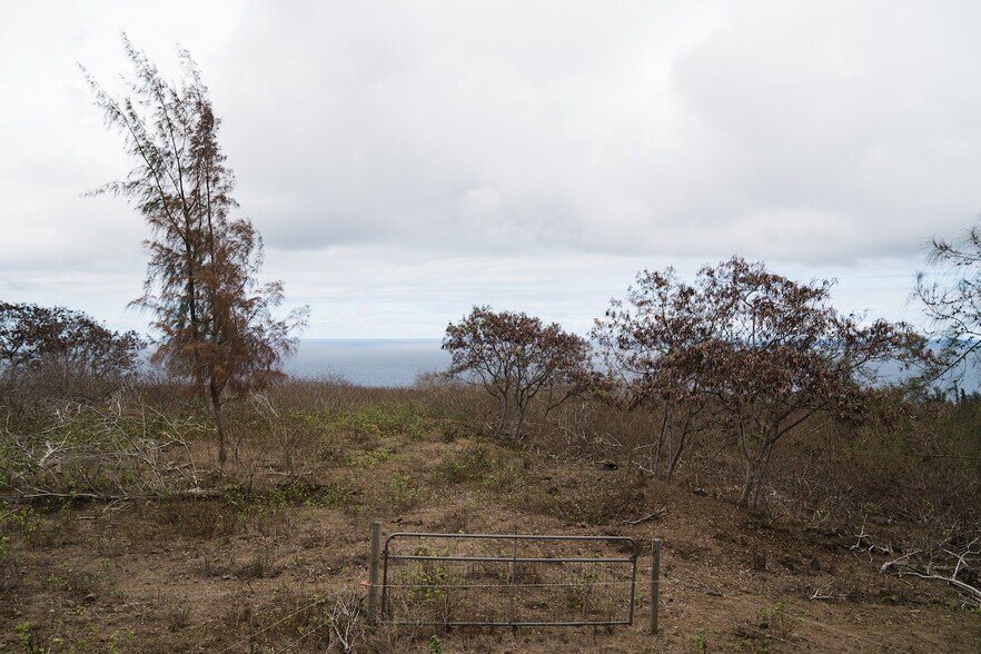 More Photos Of Tract E, Honokaa Land For Sale