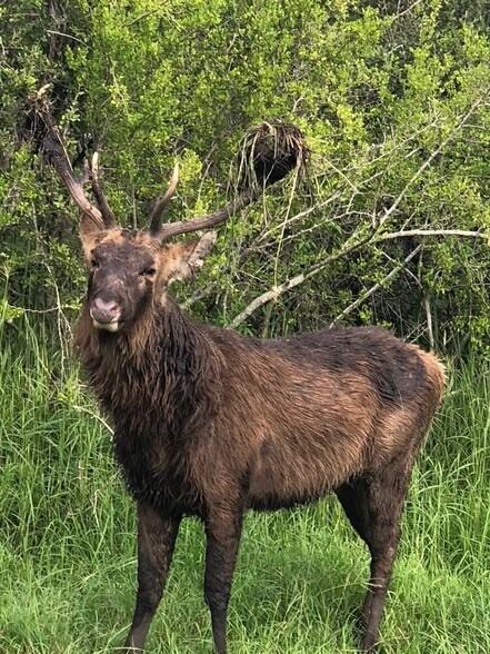 More Photos Of 5734 County Road 305, Beeville Land For Lease