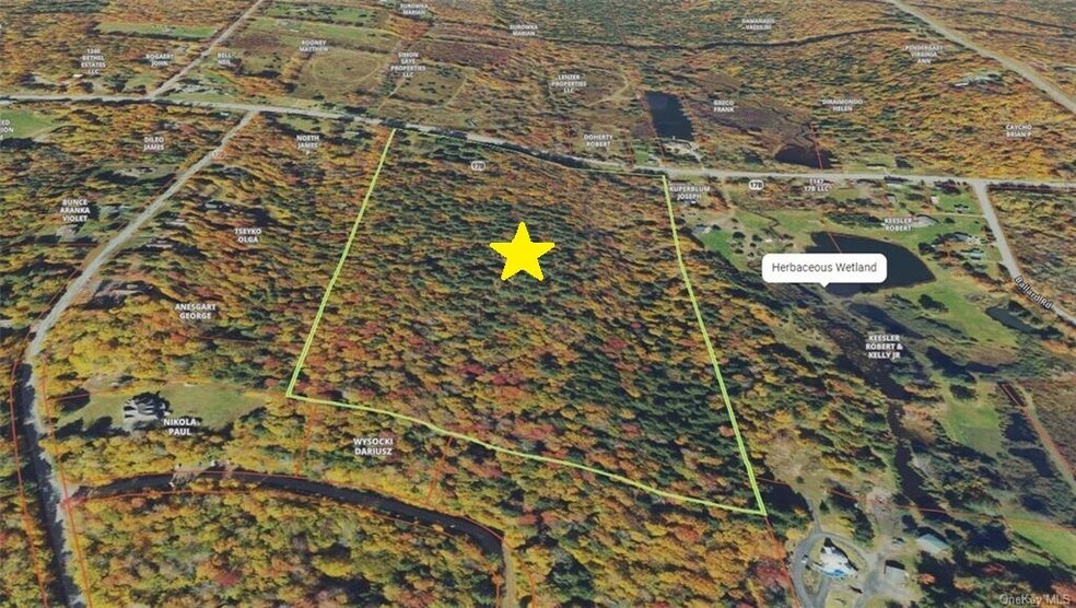 More Photos Of 1195 State Route 17B, Bethel Land For Sale