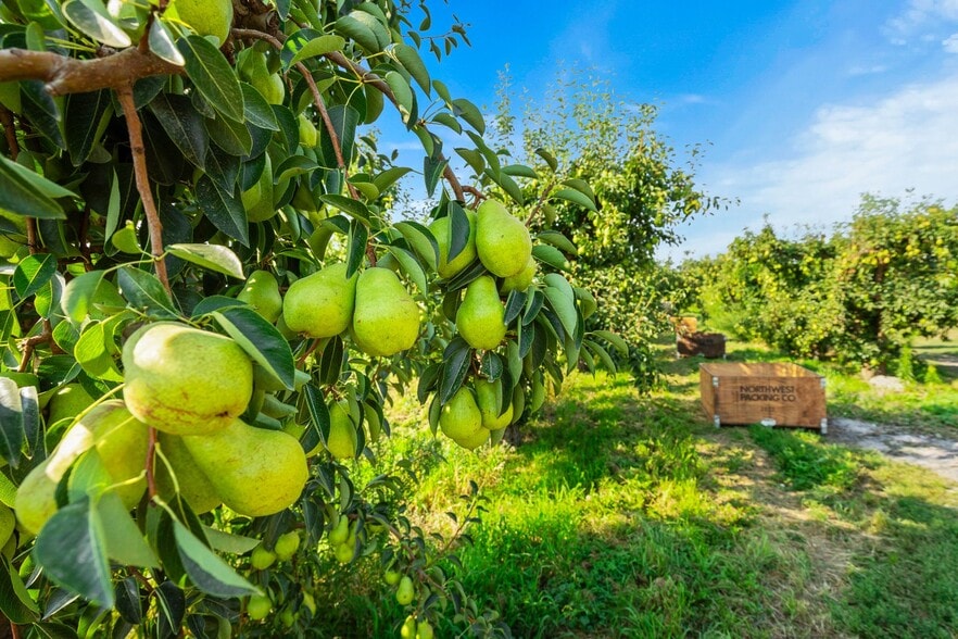 More Photos Of 2023 Riggs Rd, Wapato Land For Sale