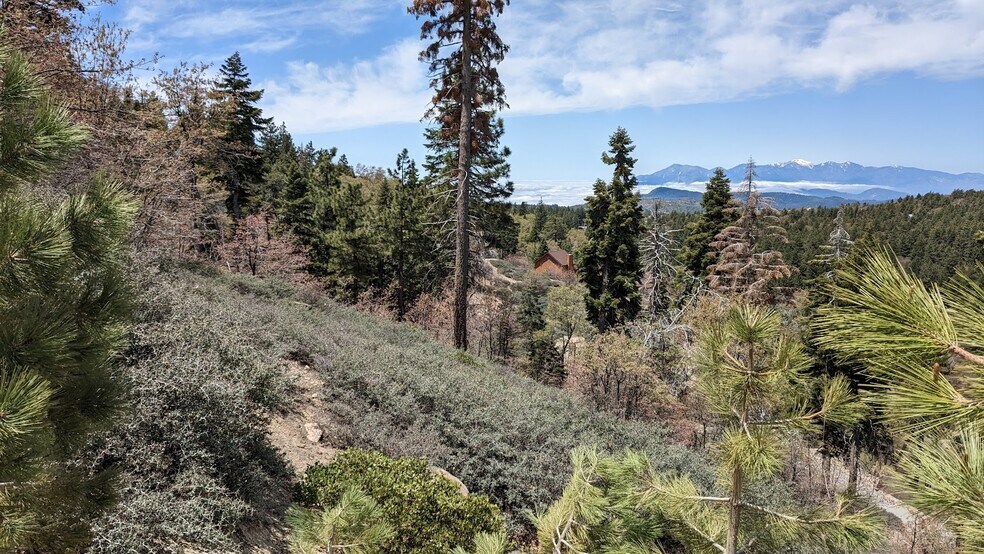 More Photos Of 0 San Antonio, Green Valley Lake Land For Sale
