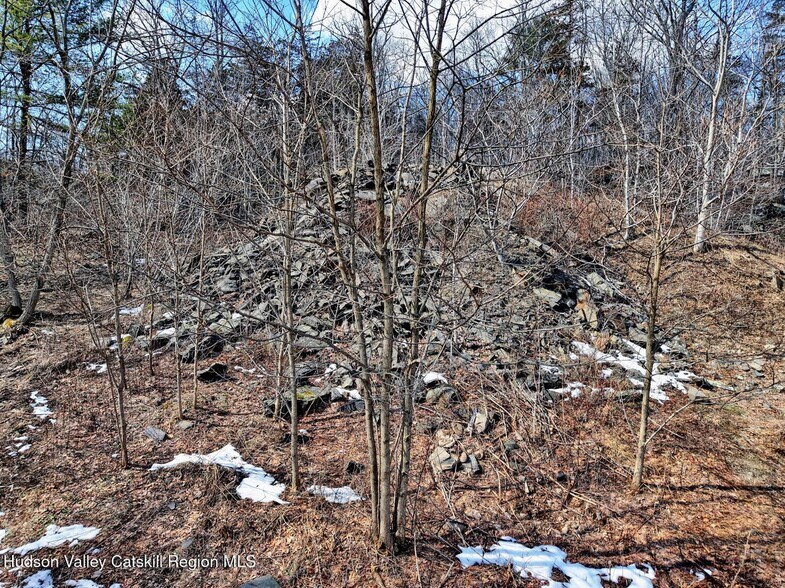 More Photos Of 7719 NY-32, Cairo Land For Sale