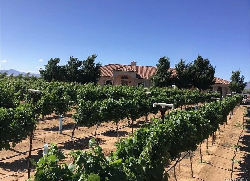 More Photos Of 6927 E Brooks Blvd, Kingman Winery Vineyard For Sale