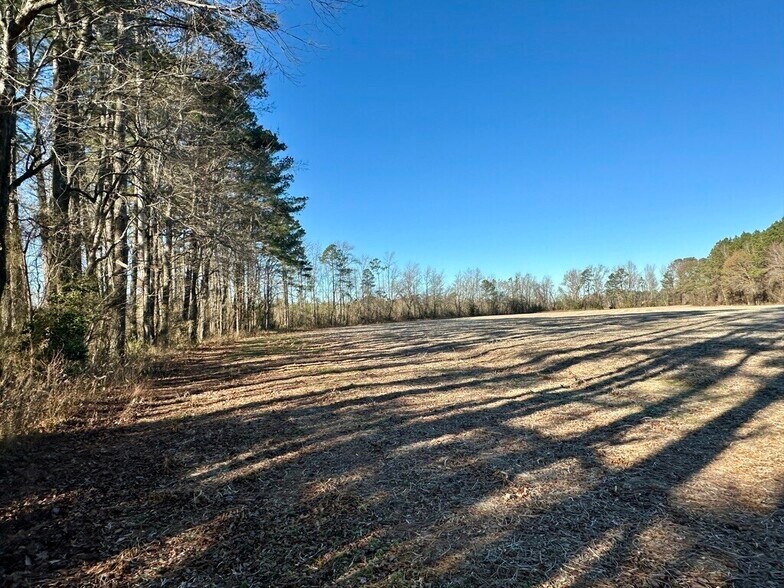 More Photos Of US Highway 301 N, Micro Land For Sale