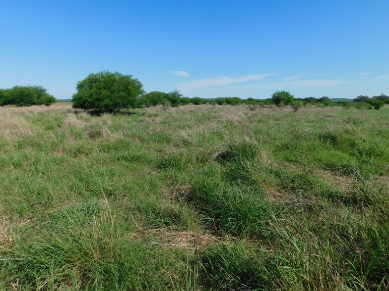 More Photos Of 10566 Texas Highway 127, Sabinal Land For Sale