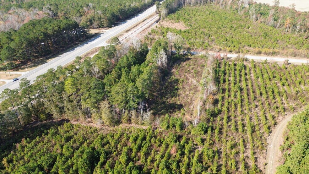 More Photos Of 1044 Georgia Pacific rd, Alcolu Land For Sale