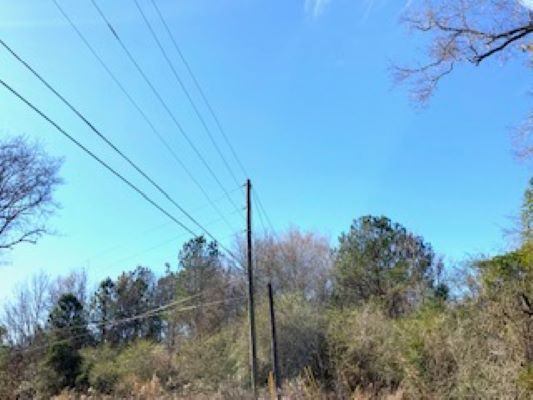 More Photos Of 0 Oak Street, Selma Land For Sale