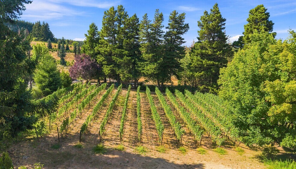 More Photos Of 21360 SW Hillsboro Hwy, Newberg Winery Vineyard For Sale