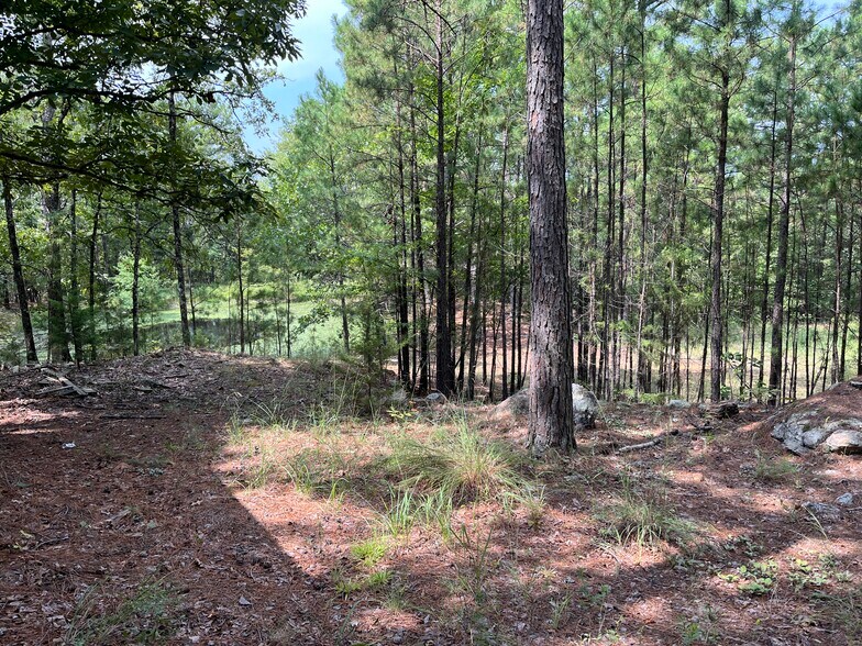 More Photos Of 27546 Reservation Rd, Daisy Land For Sale