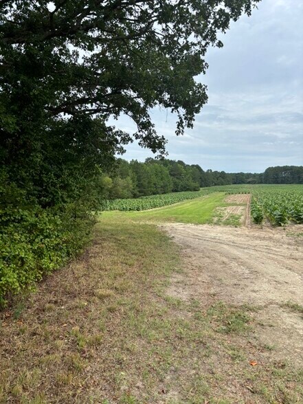 More Photos Of 2723 Mays Crossroads Rd, Youngsville Land For Sale