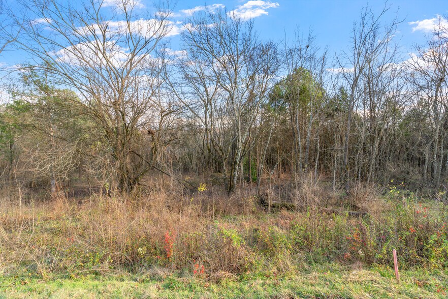 More Photos Of 0 Old Athens Pike, Sweetwater Land For Sale