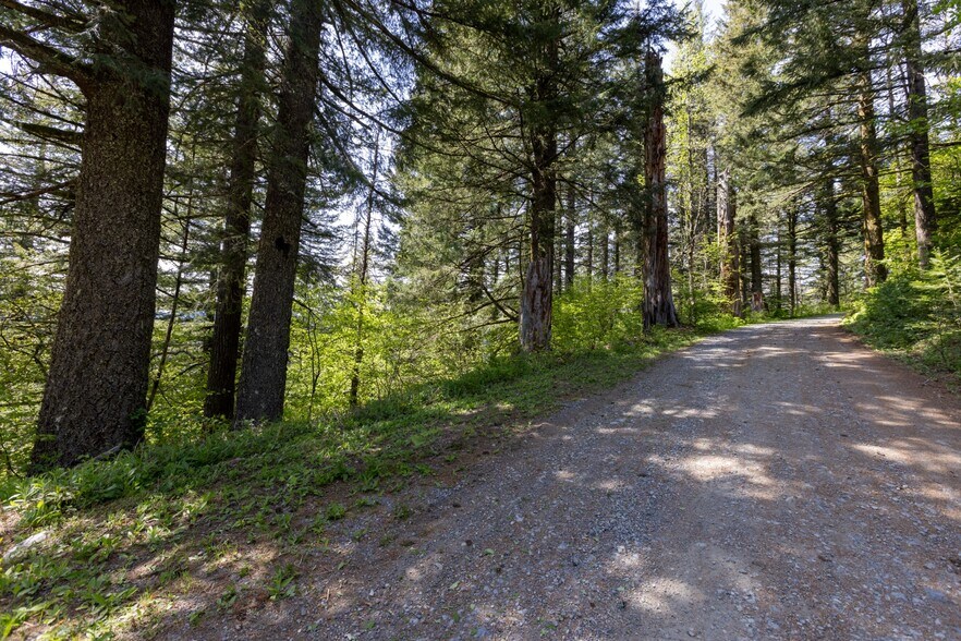 More Photos Of 0 Snag Mountain Road, Washougal Land For Sale