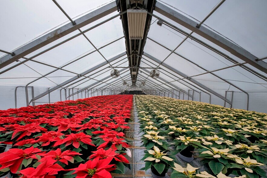 More Photos Of 3740 Bridlepath Ln, Virginia Beach Land For Lease