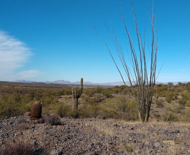 More Photos Of South of the SEC of US-60 & Flying E Ranch Rd @ Flying E Ranch Rd & US-60, Wickenburg Land For Sale