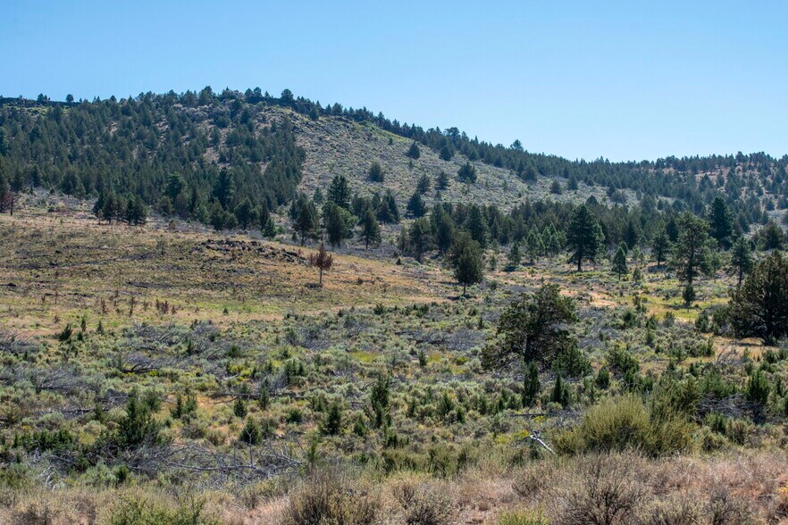 More Photos Of 32611 Tackman Rd, Prineville Land For Sale