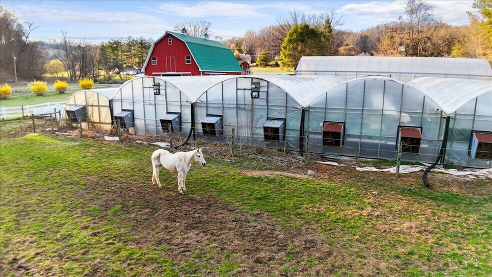 More Photos Of 1356 Coopers Cove Rd, Hardy Specialty For Sale