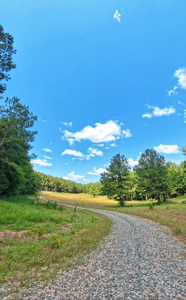 More Photos Of 202 Salem Church Miller Rd, Gray Land For Sale