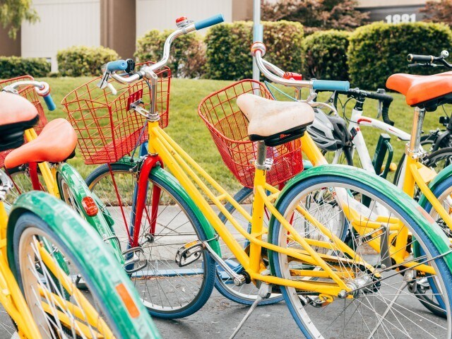 More Photos Of 8710 Cameron St, Silver Spring Apartments For Lease