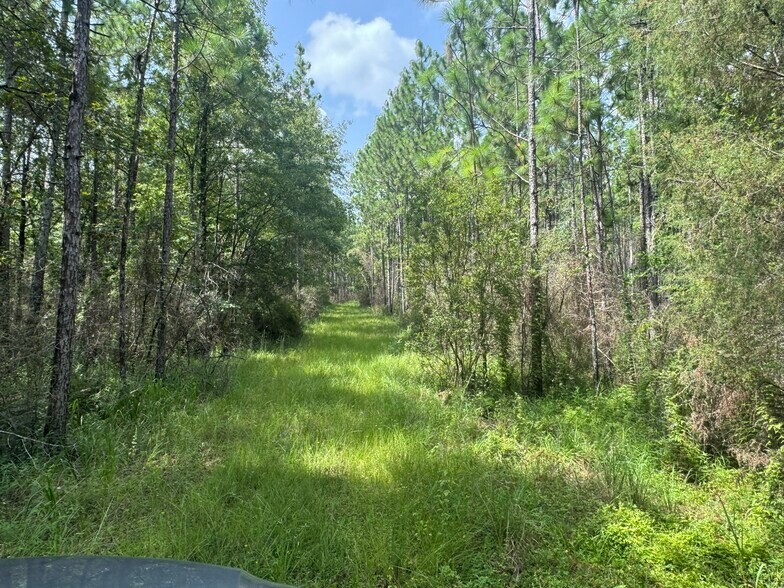 More Photos Of 0 Nokomis Road, Walnut Hill Land For Sale