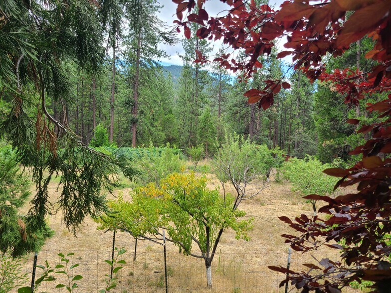 More Photos Of 6409 Kangaroo Creek Rd, Gazelle Land For Sale