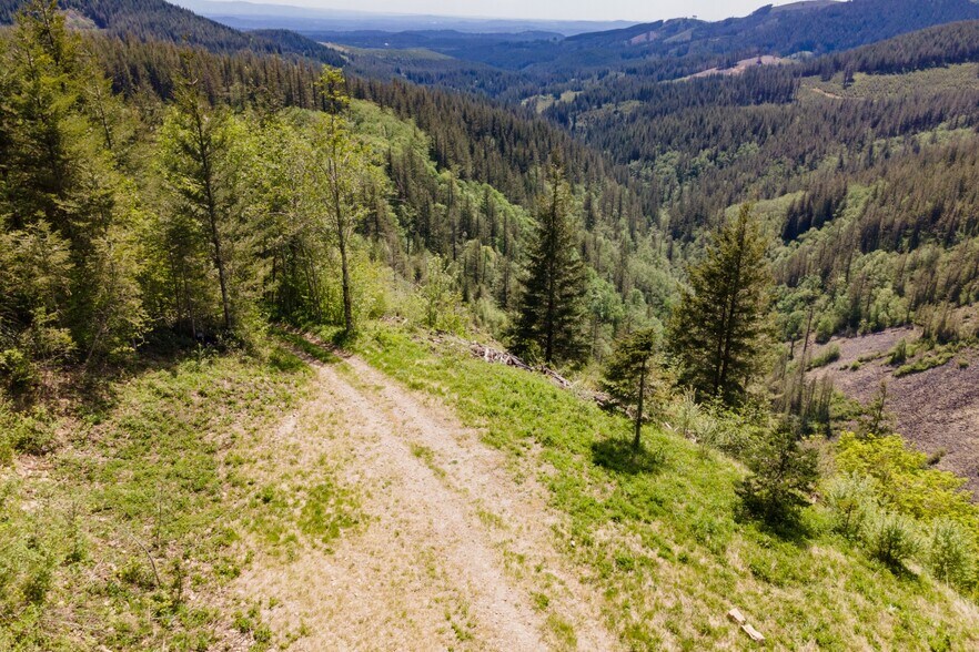 Primary Photo Of 0 Snag Mountain Road, Washougal Land For Sale