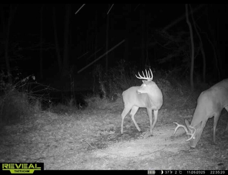 More Photos Of Burch Dr, Newark Land For Sale