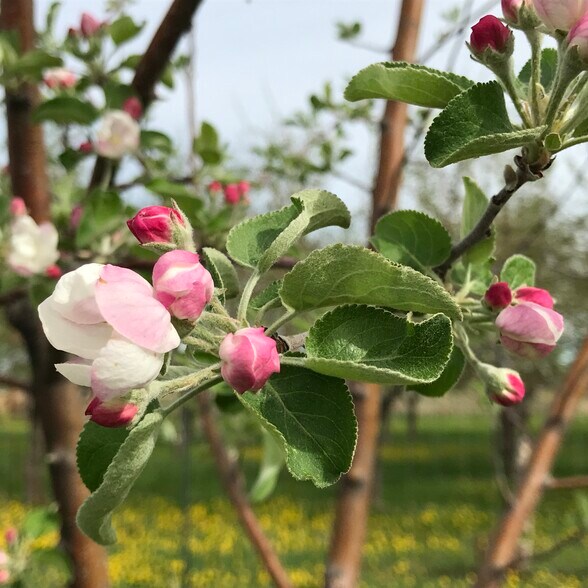 More Photos Of 157 Hergenrider Rd, Bridger Land For Sale