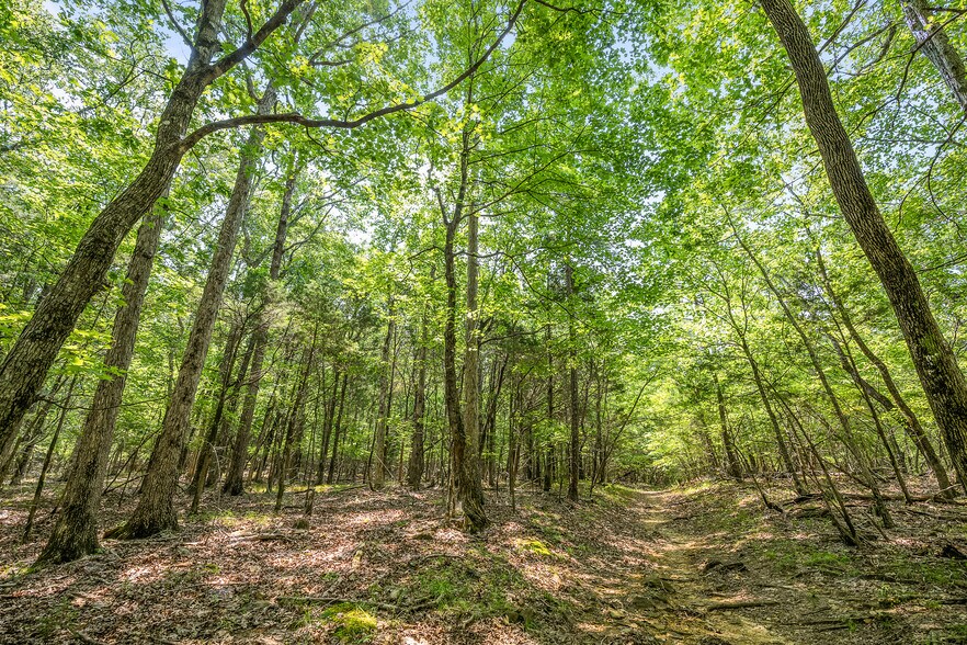 More Photos Of 0 Hawks Way NE way, Huntsville Land For Sale