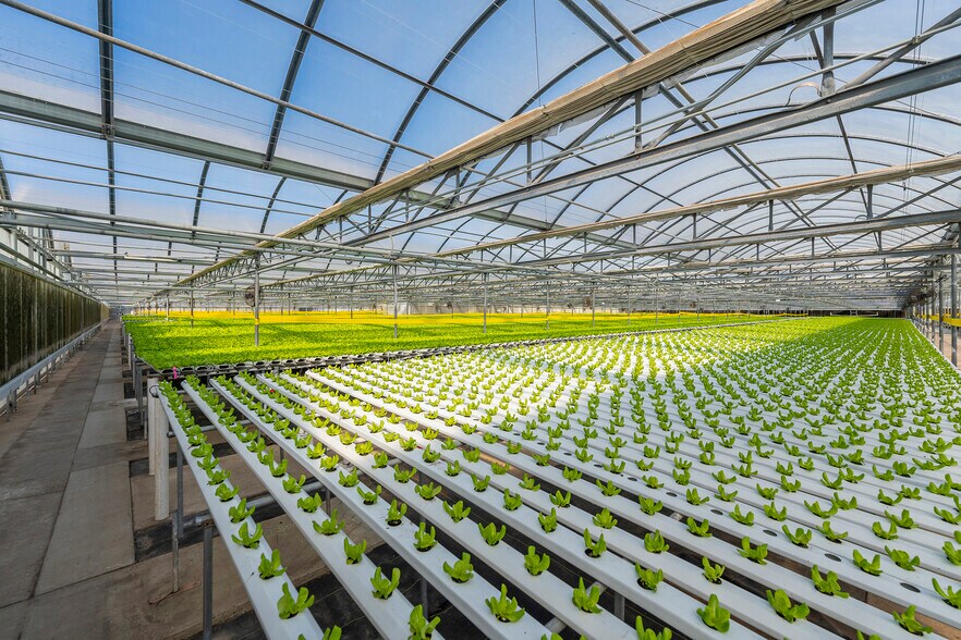 More Photos Of 2075 N Twin Oaks Valley Rd, San Marcos Garden Center For Lease