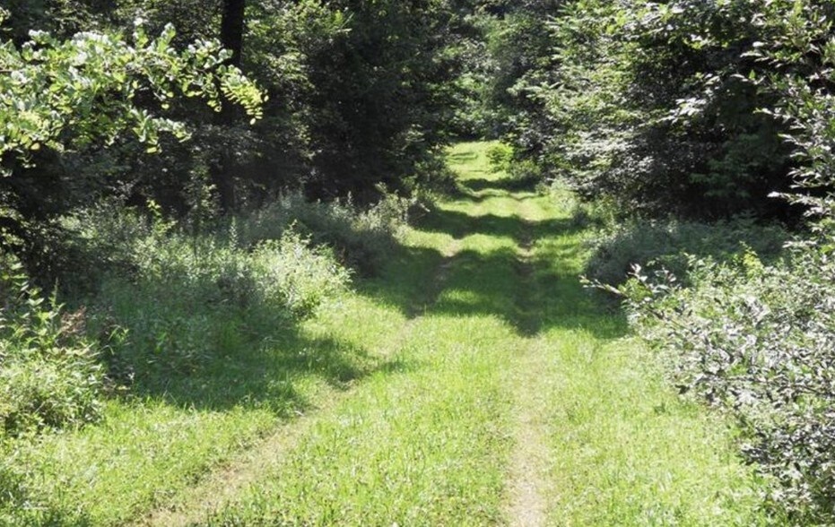 More Photos Of 1 Parcel C Rifle Rd, Latrobe Land For Sale