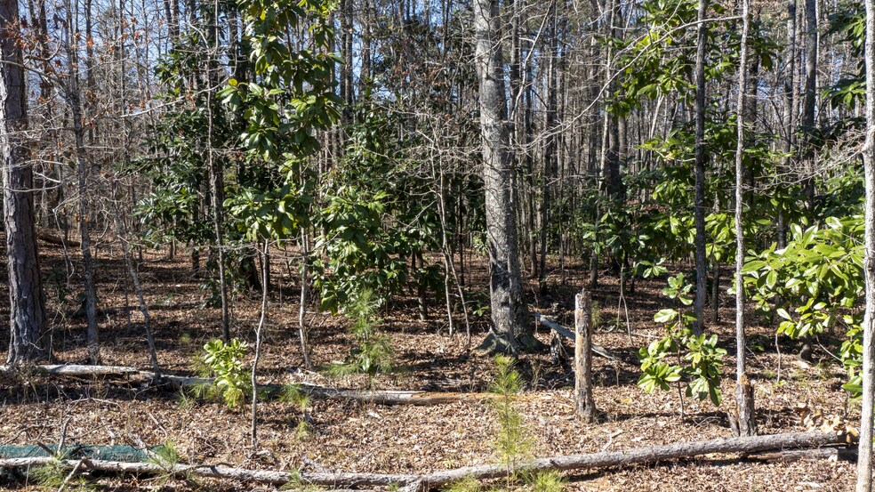 More Photos Of 0 Roosevelt Hwy, Warm Springs Land For Sale