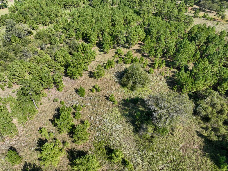 More Photos Of 00 Highway 19, Huntsville Land For Sale