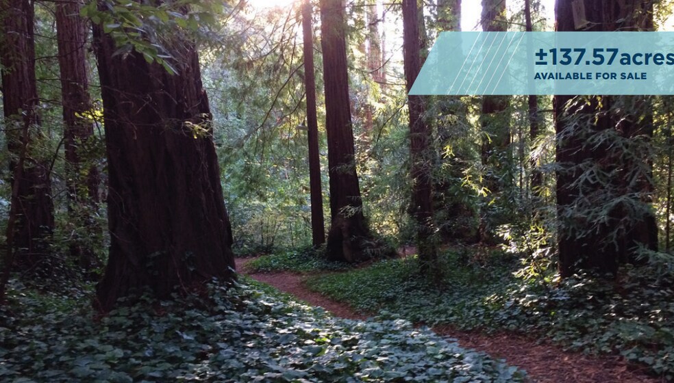 Primary Photo Of VALUABLE TIMBERLAND, La Honda Land For Sale