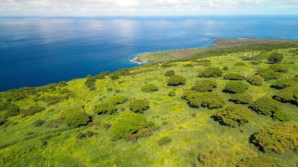 Primary Photo Of 82-6159 Napoopoo Rd, Captain Cook Land For Sale