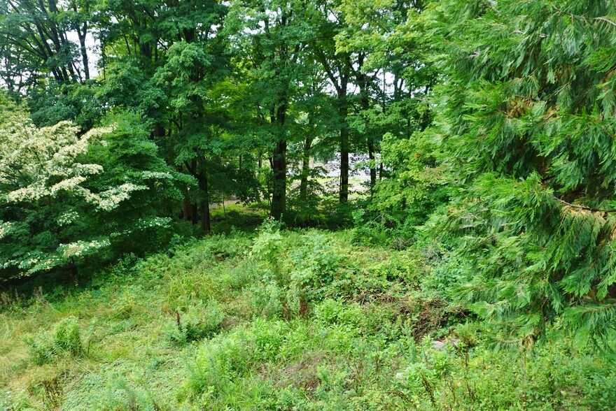 More Photos Of 1409 Main St, Coventry Land For Sale