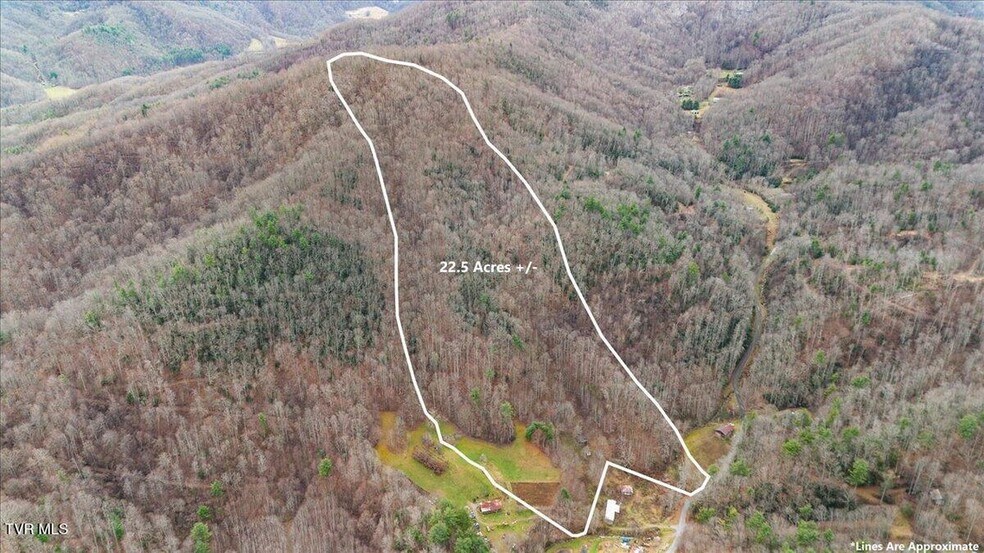 Primary Photo Of TBD Stockton Rd rd, Flag Pond Land For Sale