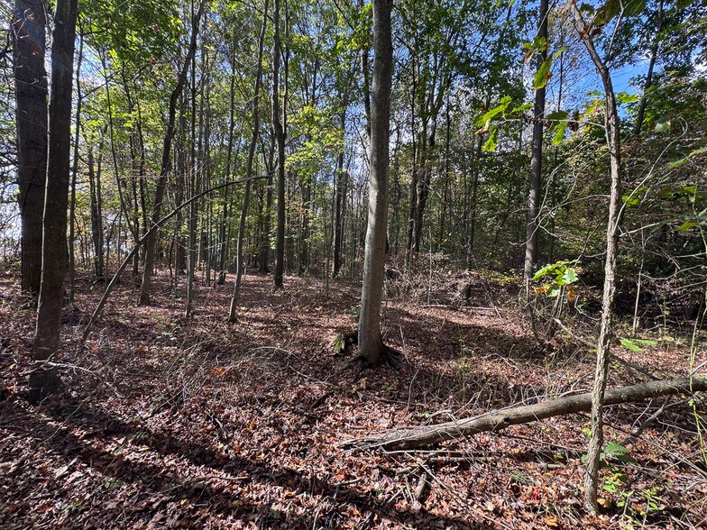 More Photos Of Grand Valley ave, Orwell Land For Sale