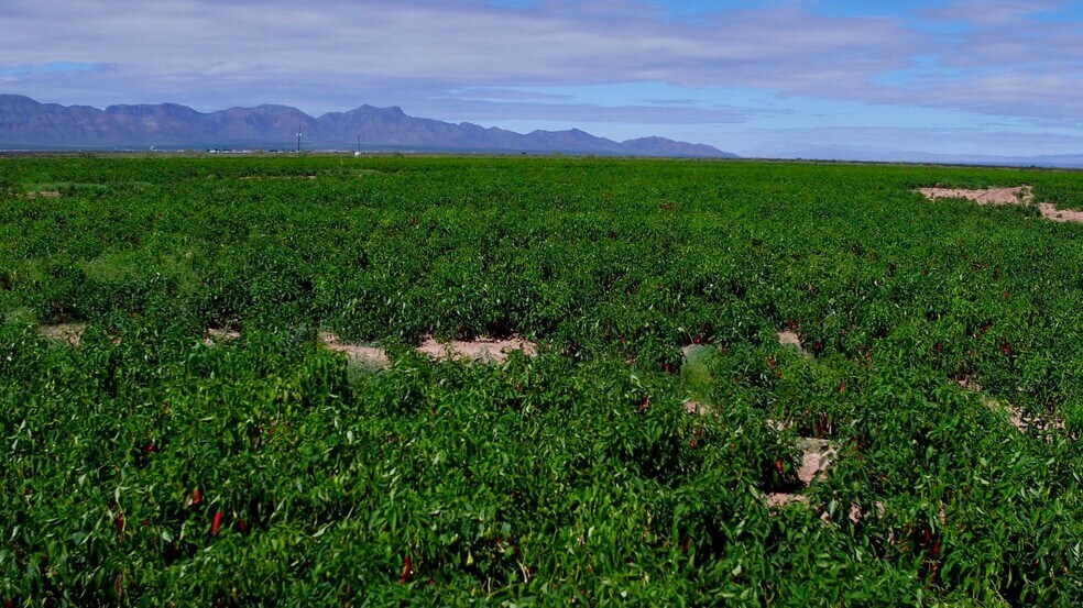 More Photos Of 10± miles NE of Van Horn, Van Horn Land For Sale
