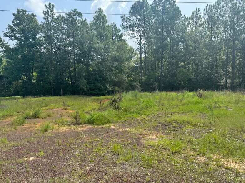 More Photos Of 0 Nokomis Road, Walnut Hill Land For Sale