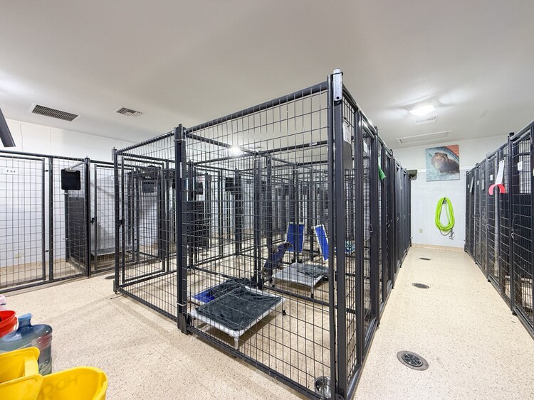 More Photos Of 45 E Airline Hwy, Kenner Veterinarian Kennel For Lease