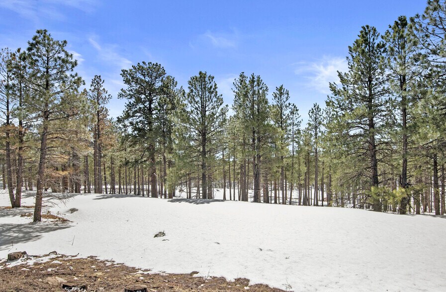 More Photos Of 0 Route 66, Flagstaff Land For Sale