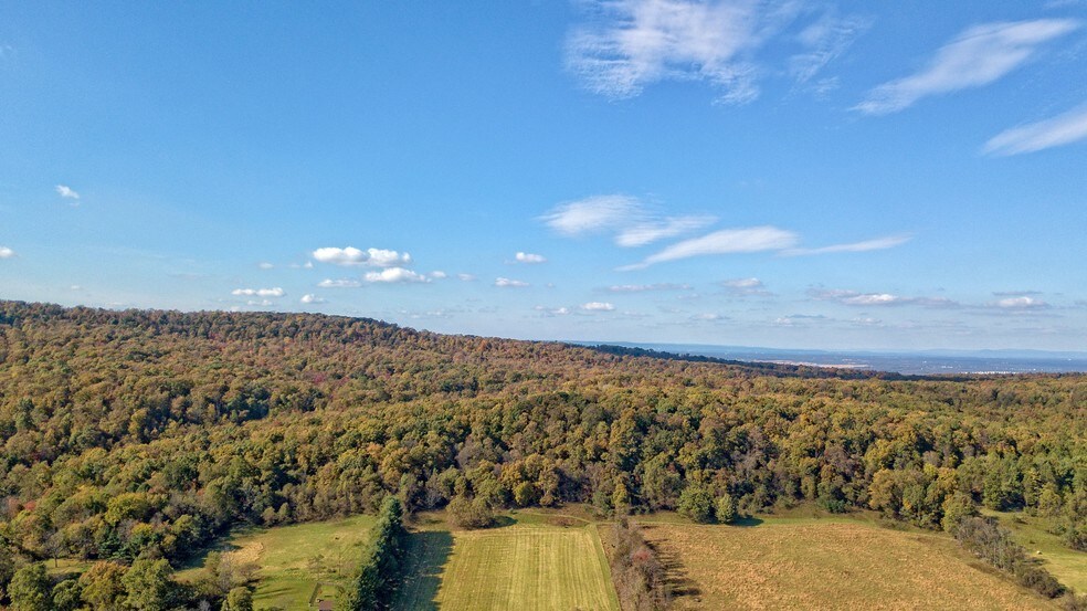 More Photos Of Quarter Branch Rd, Lovettsville Land For Sale
