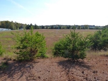 Primary Photo Of , Forest City Land For Sale