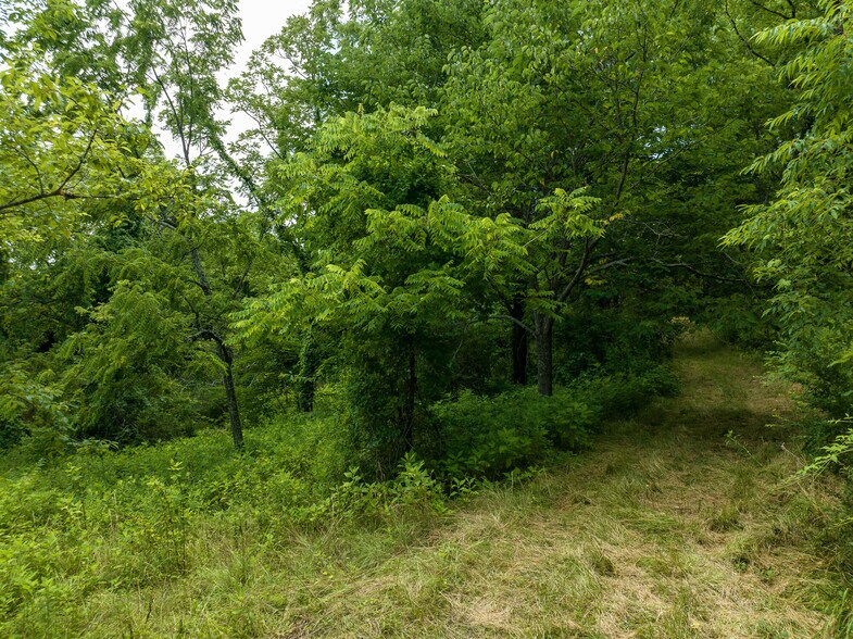 More Photos Of 0000 HWY 70, Swannanoa Land For Sale