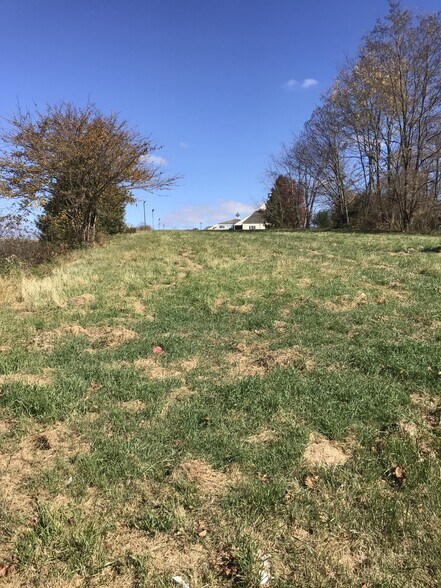 More Photos Of 0 Holston Rd, Wytheville Land For Sale