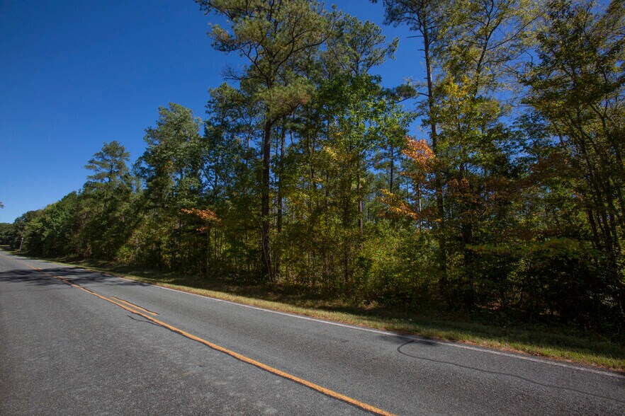 More Photos Of Walter Bright Road & 15-501, Sanford Land For Sale